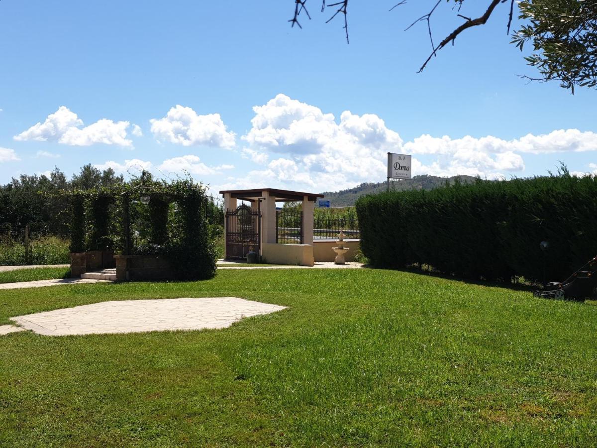 Bb Domus Catanzaro Bed and Breakfast Εξωτερικό φωτογραφία